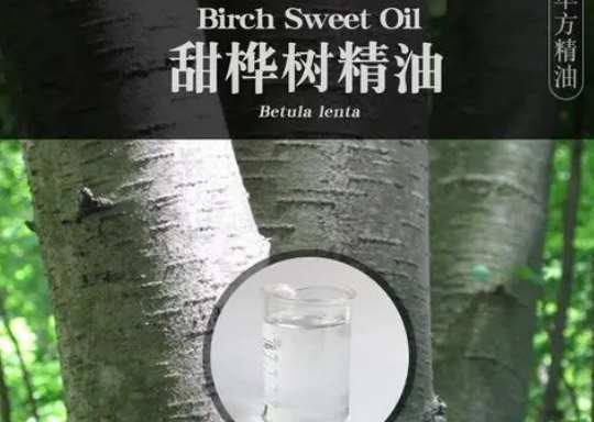 甜桦油和冬青油有多危险?