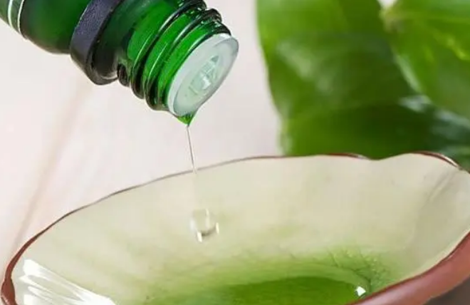 茶树香精油在水疗会所按摩中的应用